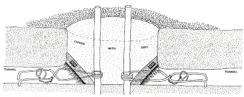 Fill in the hole with loose dirt trap in dirt ad